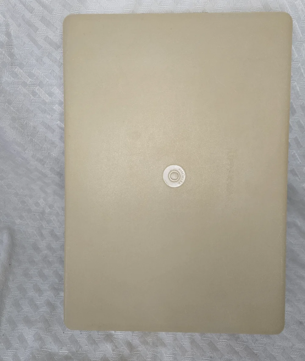 Tupperware Rectangle Cake Carrier (missing handle)